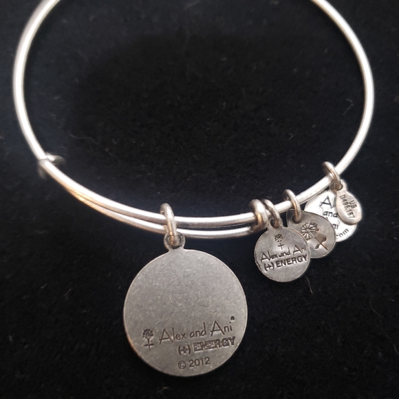 Alex and Ani Rafaelian Silver Delta Phi Epsilon 2012 - Picture 4 of 8